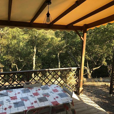 Camping De Parpaillon Roquebrune-sur Argens Bagian luar foto